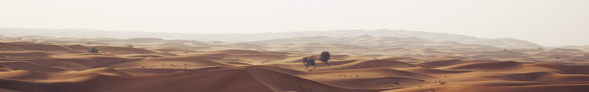 ջɭƼ޹˾